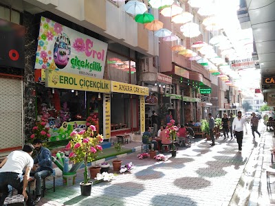 Photos of Amara &Ccedil;ay Evi
