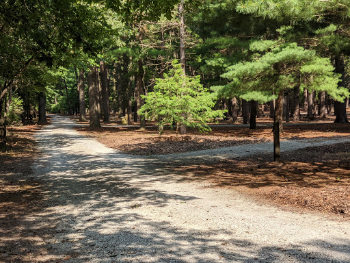 Pine Campground - Visual