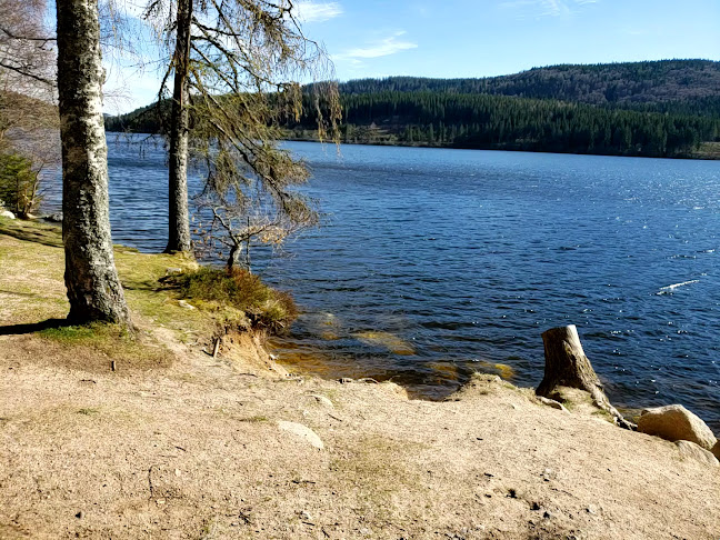 Camping Schluchsee - Wettingen