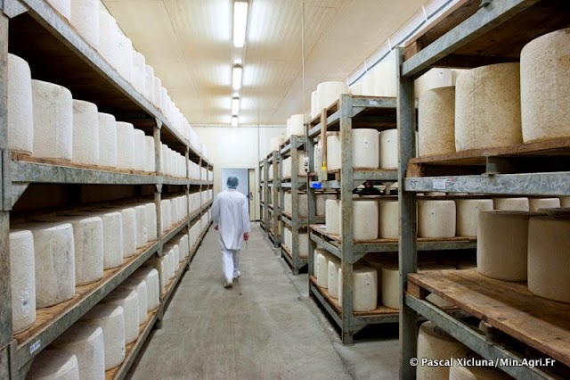 Coopérative Fromagère Jeune Montagne