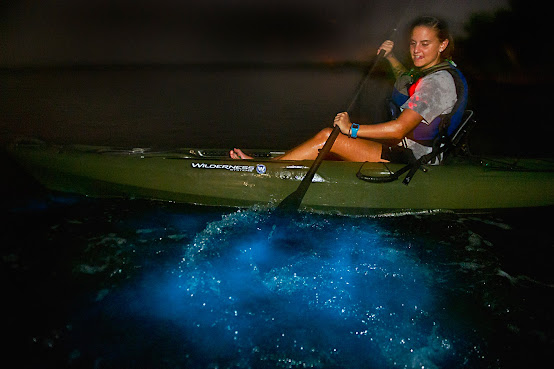 A Day Away Kayak Tours by null