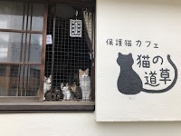 保護猫カフェ猫の道草