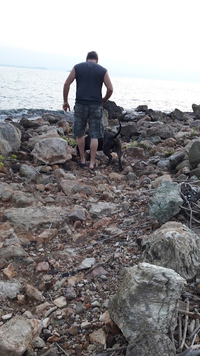 Photos of B & B Capo Pero