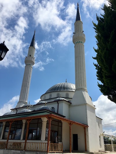 Suayipli Koyu Cami