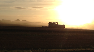 Photo n°26 de Terrea à La Grande-Paroisse (Fournisseur de matériel agricole)