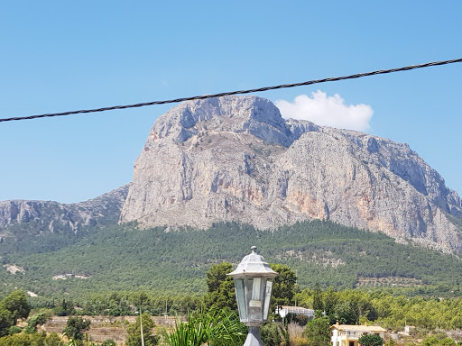 León Durmiente de Montaña