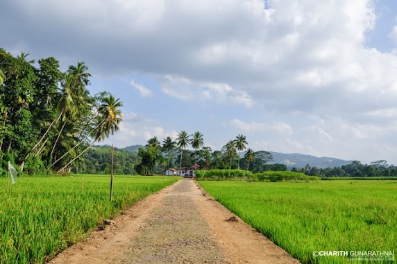 Ganegoda Dewalaya, Author: Charith Gunarathna