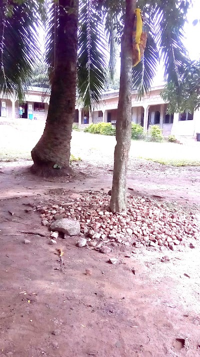 Photos of R.C Boys JSS