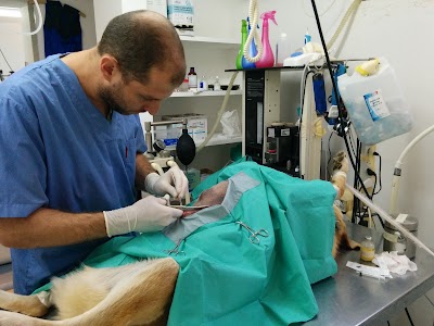 Photos of המרפאה הוטרינרית תל מונד