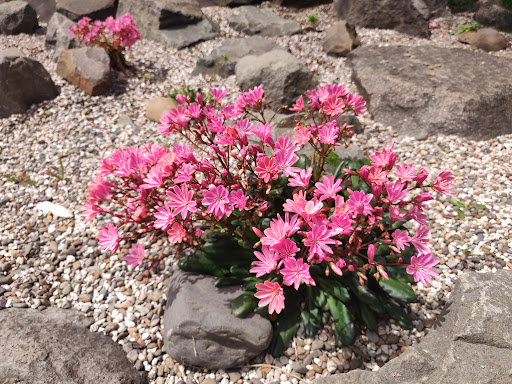 Delbert Hunter Arboretum and Botanical Garden - Thumbnail