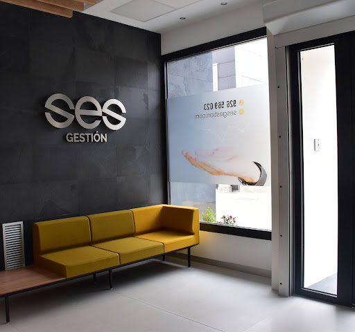 SES Gestión - Visual