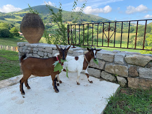 Photo n°12 de Centre de jeûne ilurria Pays Basque à Macaye (Centre de bien-être)