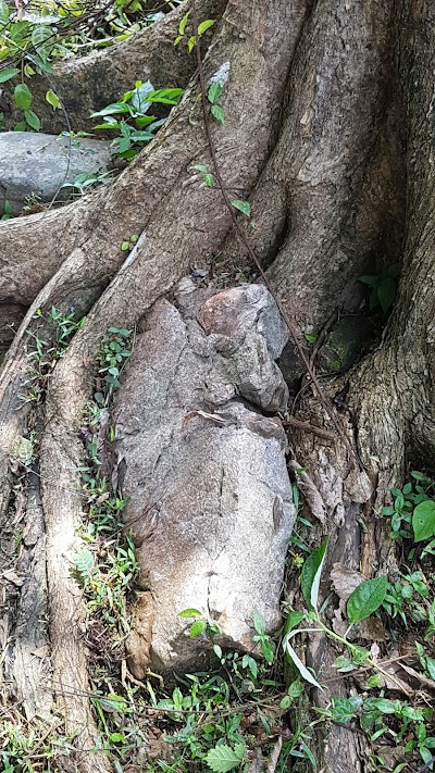 Photos of Grijalba