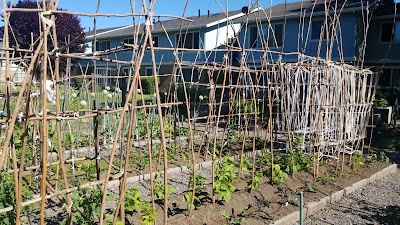 Orchard Manor Community Garden