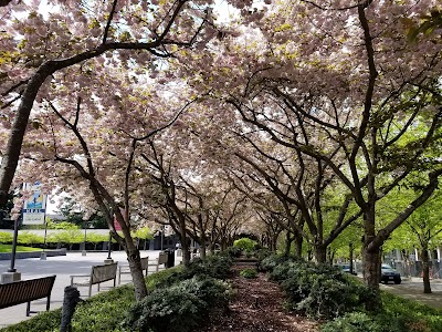 Millennium Plaza Park