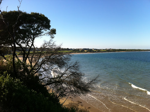 Yellow Bluff - Visual