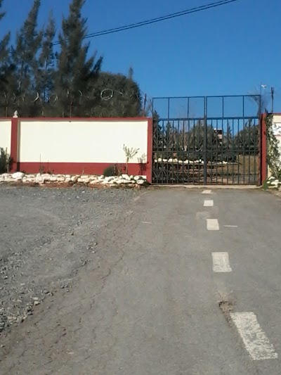Photos of Cimeti&egrave;re Sidi Abderrahmane