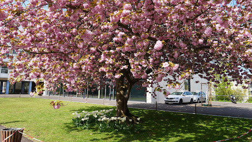 Robert-Wetzlar-Berufskolleg Bonn-Nord Gallery - Germany
