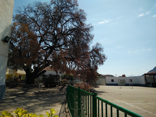 Colegio Cristo Crucificado - Thumbnail