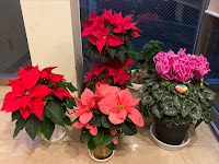 宮本町内科クリニック