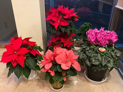 宮本町内科クリニック