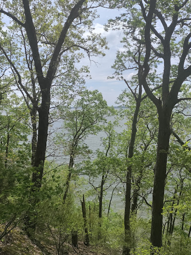 Canal Loop Trailhead at Kentucky Lake Scenic Drive - Thumbnail