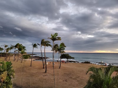 Leilehua High School