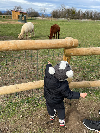 GAEC AnimÉcow Ferme pédagogique - Thumbnail