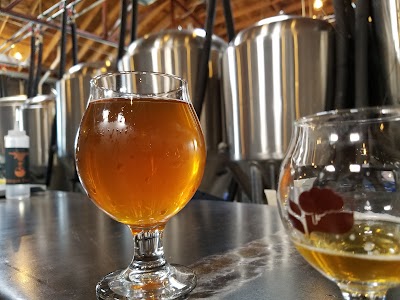 Dialogue Brewing