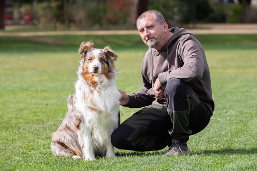 Natureduc - éducateur comportementaliste canin - Thumbnail