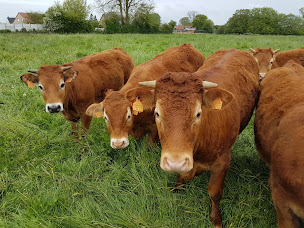 Photo n°3 de Ferme des Hirondelles earl à Ablainzevelle (Ferme)