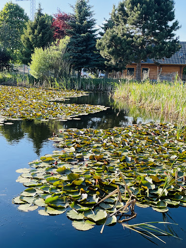 Restaurant Gröbern am See - Thumbnail