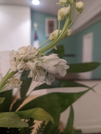 Beth’s Florist Gallery - United States