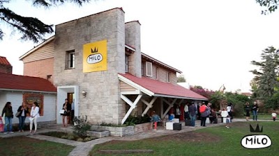 Photos of Milo Lockett space in Cordoba