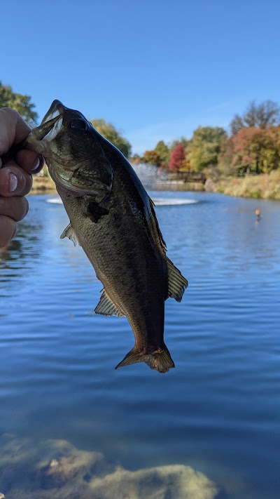 Des Peres Park