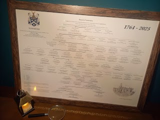 Family Trees by Hannah