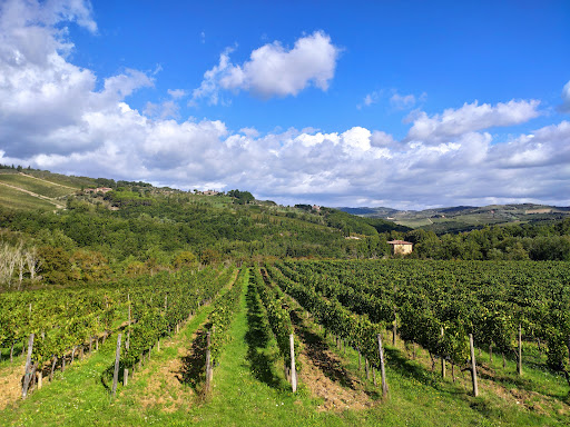 viewpoint "Green Fields"
