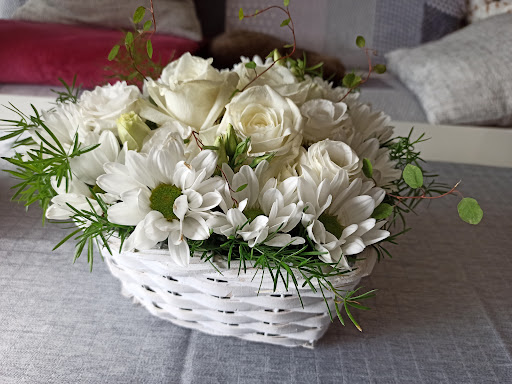 Blumen Ehle - Visual