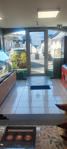 Ô fil des Cèdres