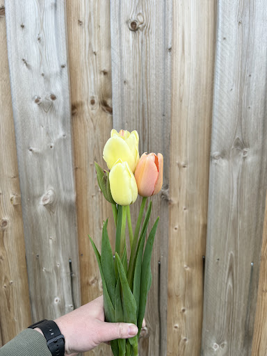 Blumen von Kathi - Thumbnail