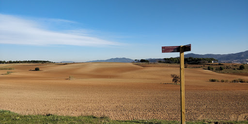 Pàrquing dels Pinetons Sarases