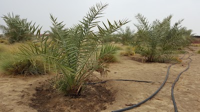 Photos of Farm Faraj Diab Jawasri
