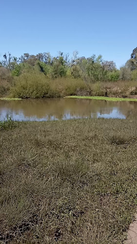 Opiniones de Parque San Javier en Fray Bentos - Camping