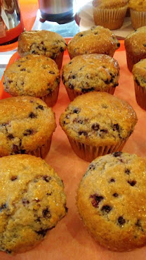 A Slice of Eden by null