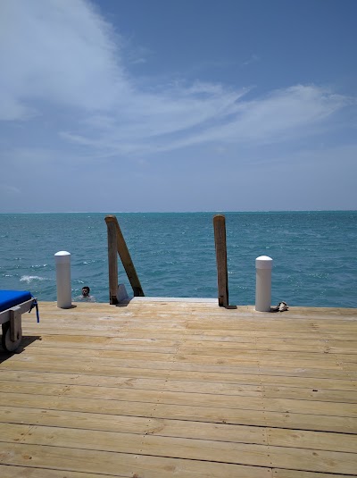 Photos of Oasi