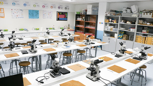 Eurocolegio Casvi Boadilla - Colegio concertado Boadilla del Monte - Thumbnail