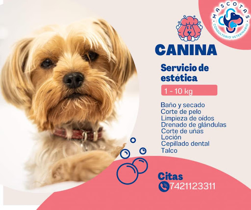 Consultorio Veterinario Mascotas