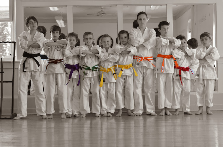 ProKarate Rockford - karate in Rockford, Michigan