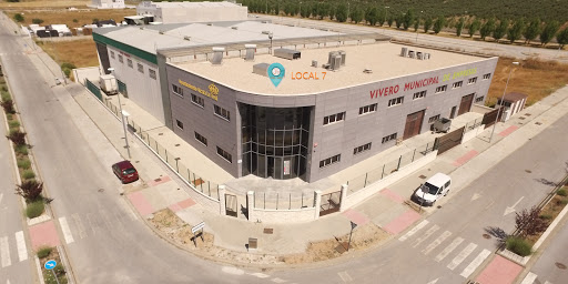 GESINGEO TOPOGRAFÍA - Visual