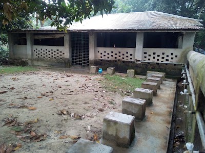 Photos of Bhagnadi Central Mosque